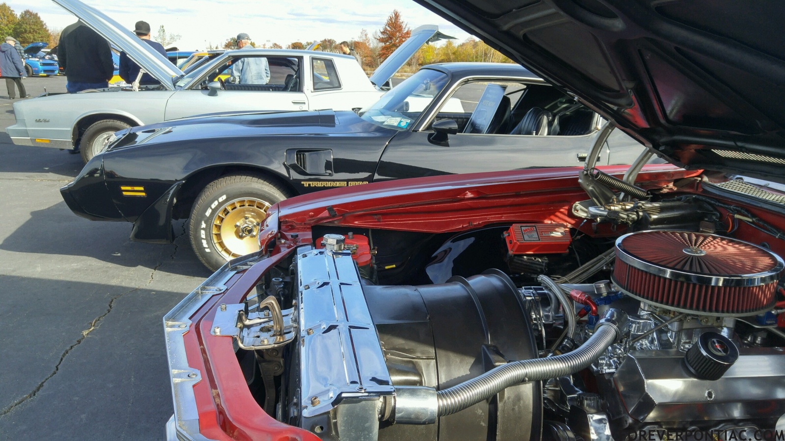 Trans Am and Monte Carlos Linden NJ Airport Charity Car Show Nov 6 2016