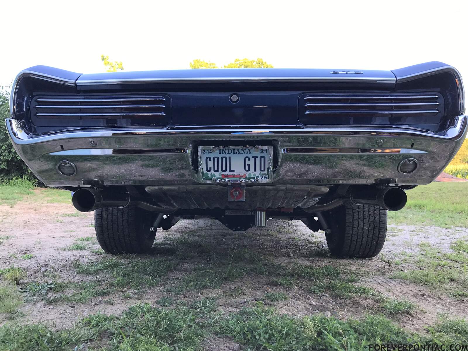 Dale's cool GTO
